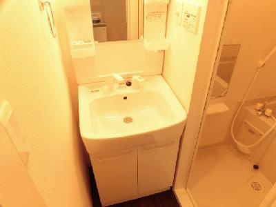 アークリード五条堀川の洗面所|シャンプードレッサー