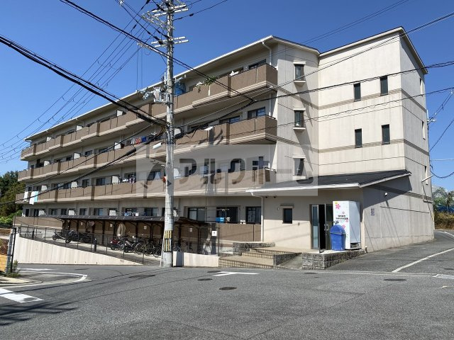 グレープヒル安堂の外観|柏原市　賃貸　マンション　鉄筋コンクリート　南向き　エレベーター