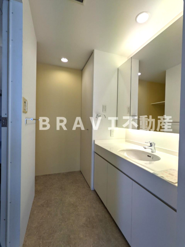 アーバネックス淀屋橋　BRAVI不動産の洗面所