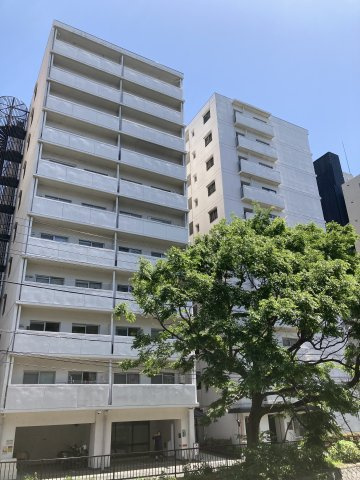 京都堀川グランドハイツの外観|本物件は1階南向きのお部屋です！