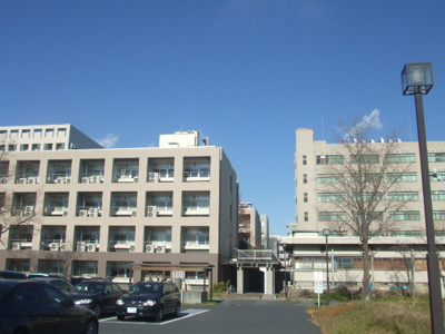 大学
