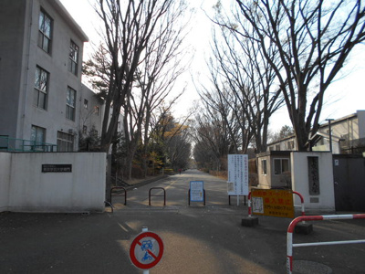 大学