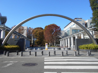 大学
