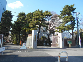 大学