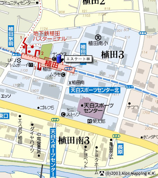 エステート林の展望