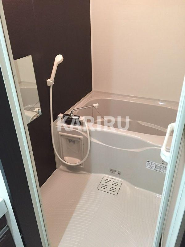 フジパレス新喜多Ⅱ番館の浴室