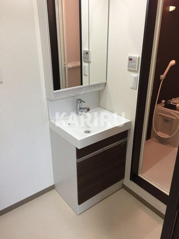 フジパレス新喜多Ⅱ番館の洗面所