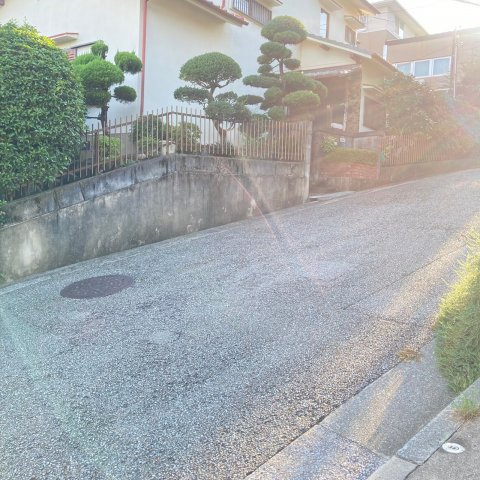 雲雀丘山手1丁目の前面道路含む現地写真|道幅6m