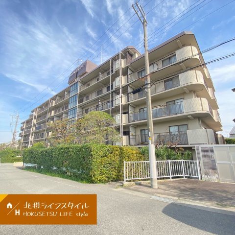 南ひばりガ丘コーポラスの外観|外観