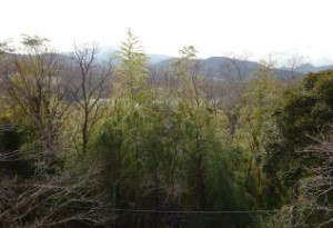 【展望】 | ゴルフガーデン分譲地　戸建 | 山並みを望む立地