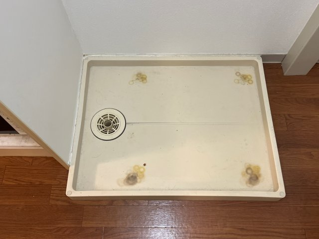 セレッソ壱番館のその他