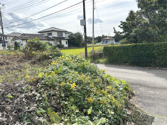 つくば市西大井　土地の外観|前面道路
