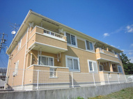 セイバリーAの画像