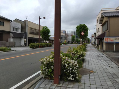 【周辺】 | 殿町駐車場T