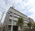 シプレスの画像