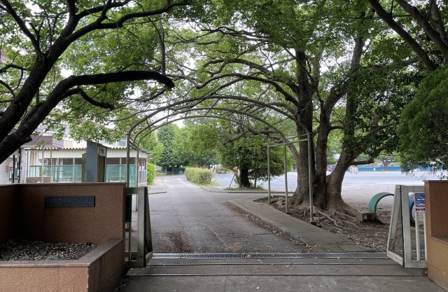 柏市藤心２丁目新築戸建（藤心７期）の周辺|藤心小学校まで1700ｍ