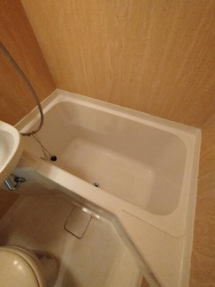 バス
