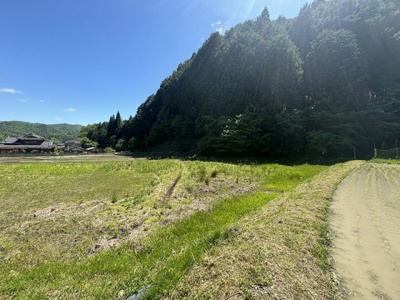 【外観】 | 丹波篠山市住山　農地2