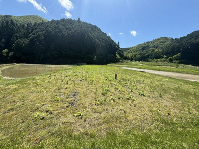 【外観】 | 丹波篠山市住山　農地2