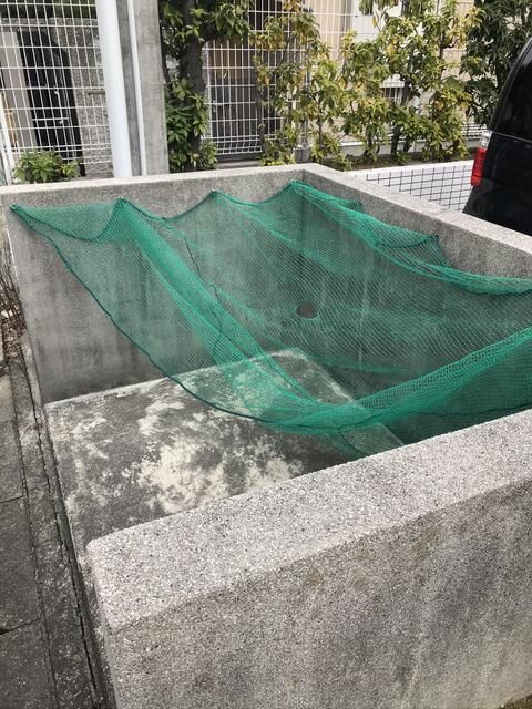 清須市清洲の一棟マンションのその他