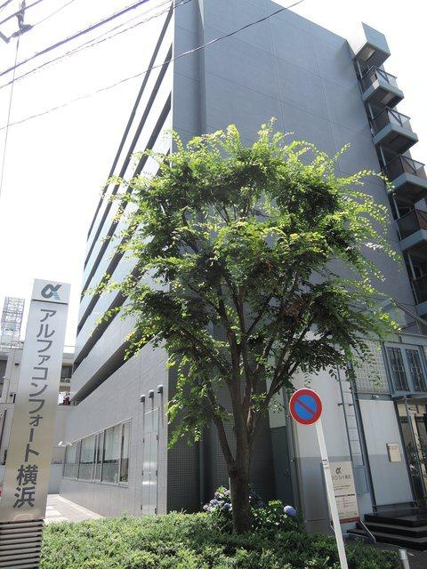 アルファコンフォート横浜の外観