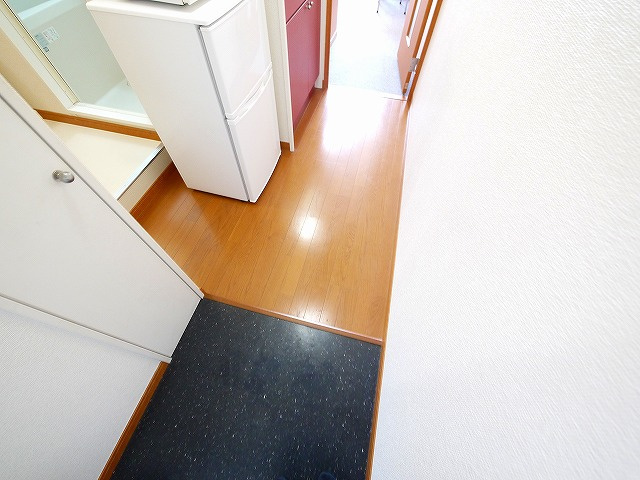 レオパレスブラッサム木津の玄関|収納もある玄関です