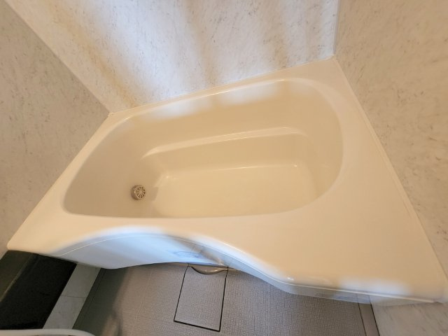 グローバル富雄の浴室