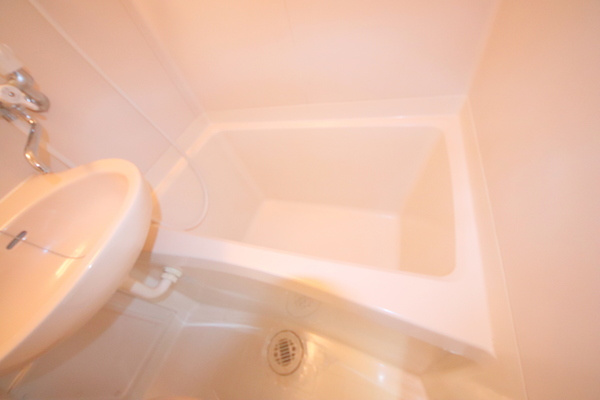 シティパレス富雄南の浴室