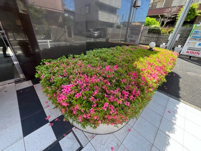 【庭】 | シャルムコート相模原 | 物件によっては、入居者が個人的に使用できる専用庭がついているものもあります。また、住宅の中にある土間の部分を庭と呼ぶこともあります。庭の用途は住む人によって変わり、それによってデザインもさまざまです。