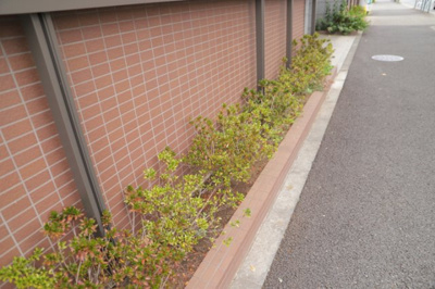 【庭】 | ドゥーブルリッチ町田 | 物件によっては、入居者が個人的に使用できる専用庭がついているものもあります。また、住宅の中にある土間の部分を庭と呼ぶこともあります。庭の用途は住む人によって変わり、それによってデザインもさまざまです。