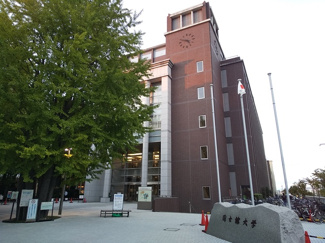 大学