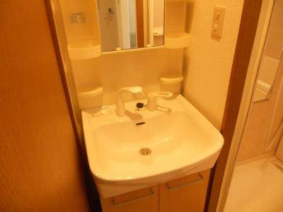 グランドパルティールⅢの洗面所