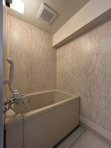 ドミール小出の浴室