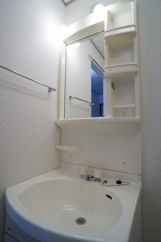 グリーンコート宝塚の洗面所