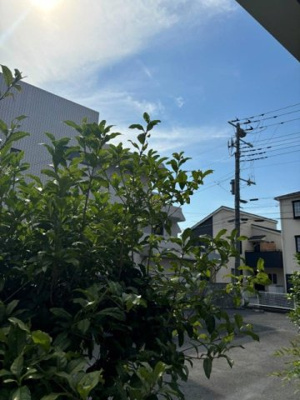 【展望】 | クレインソシア