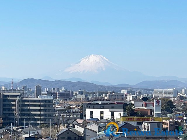 ベルパーク湘南茅ヶ崎ベゴニア館の展望