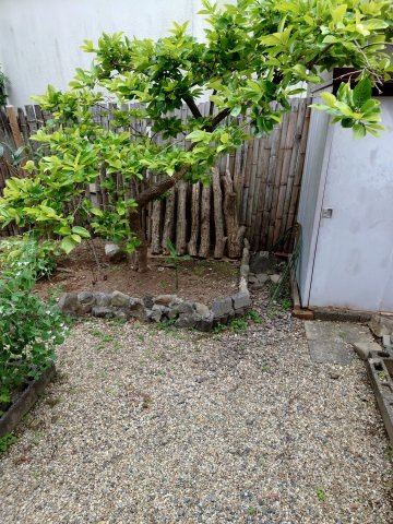 【庭】の画像