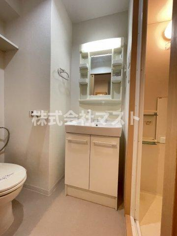 FDSfeliceの洗面所