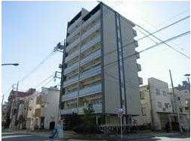 プリンス54の画像