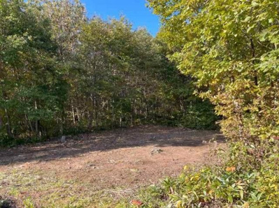 【外観】 | 八幡平市野駄・売地