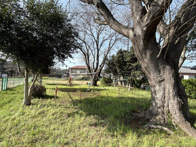 自由ヶ丘住宅の周辺|近くに公園があります。