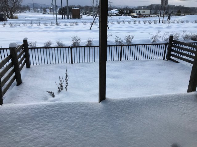 ガーデンコート森の幹のバルコニー