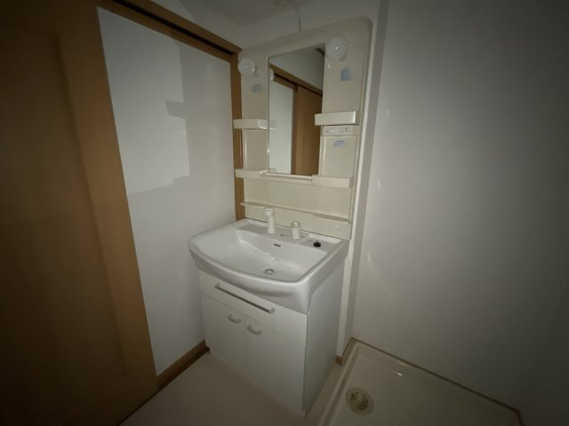 メゾンプラースⅡの洗面所