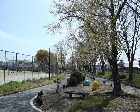 花水木Ⅱの周辺|新道公園まで1,543ｍ