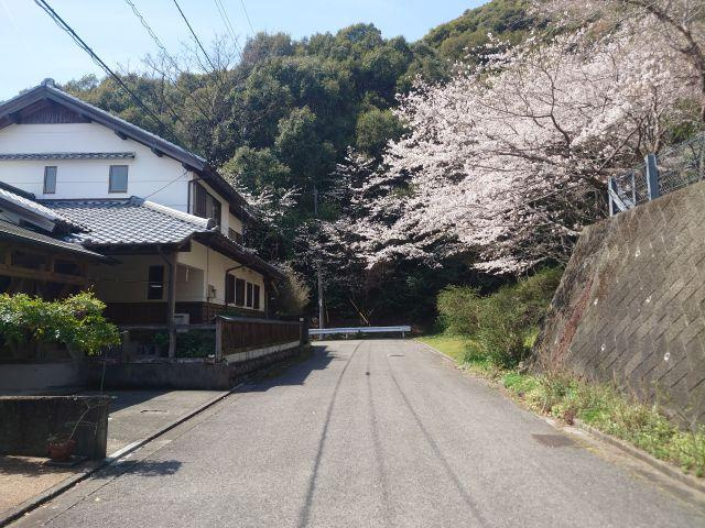 高知市春野町南ヶ丘8丁目　中古戸建ての前面道路含む現地写真
