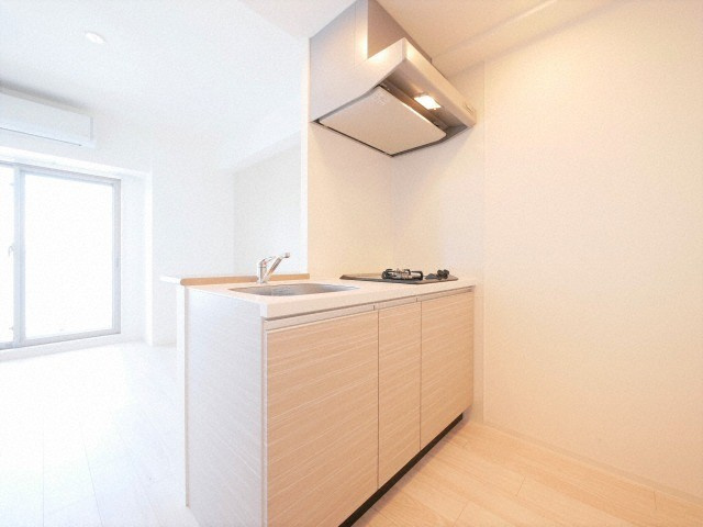 レジュールアッシュOSAKA今里駅前のキッチン