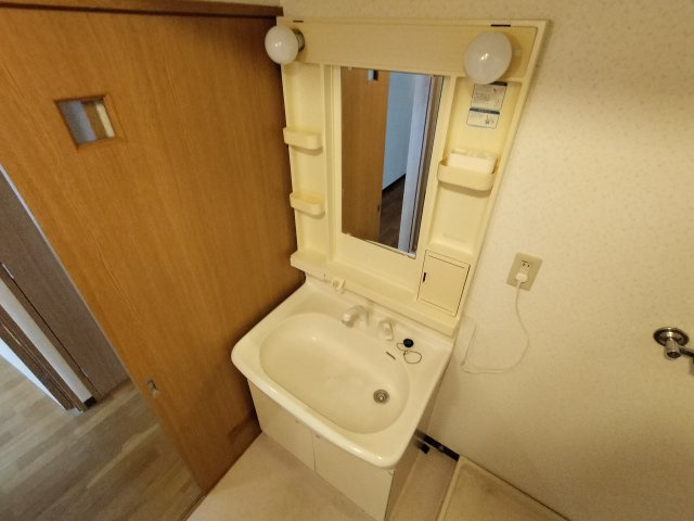 エレガンス春日部の洗面所