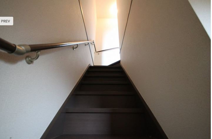 フェニックス麻のその他