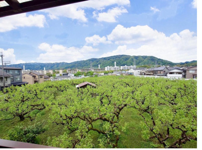 【展望】 | 西京区大枝中山町