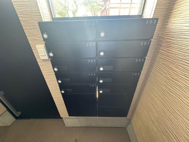 F　asecia iliaのその他共用部分